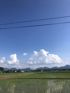 入道雲　と　田植え