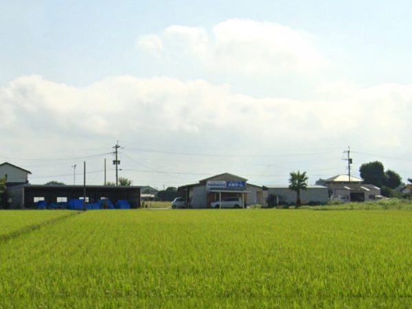事務所イメチェン