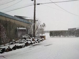雪景色